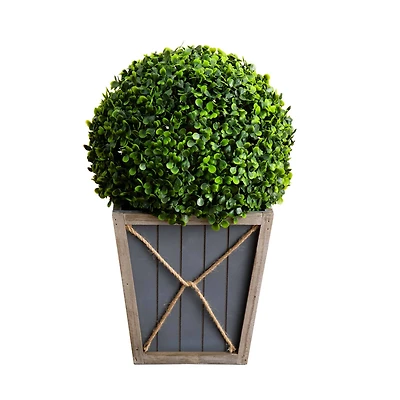 18" LED UV Resistant Boxwood Ball Topiary in Decorative Planter