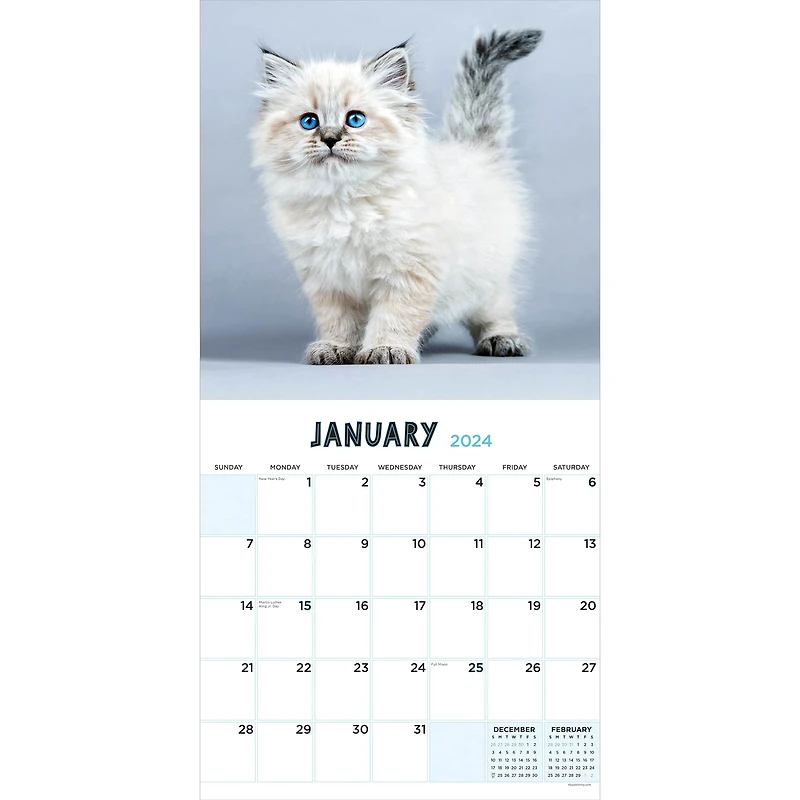 TF Publishing Kittens Wall Calendar