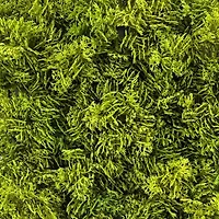 10" Faux Moss Mat by Ashland®