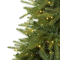 7ft. Pre-Lit Vancouver Fir Natural Look Artificial Christmas Tree with Clear LED Lights
