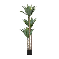 5ft. Potted Yucca Tree