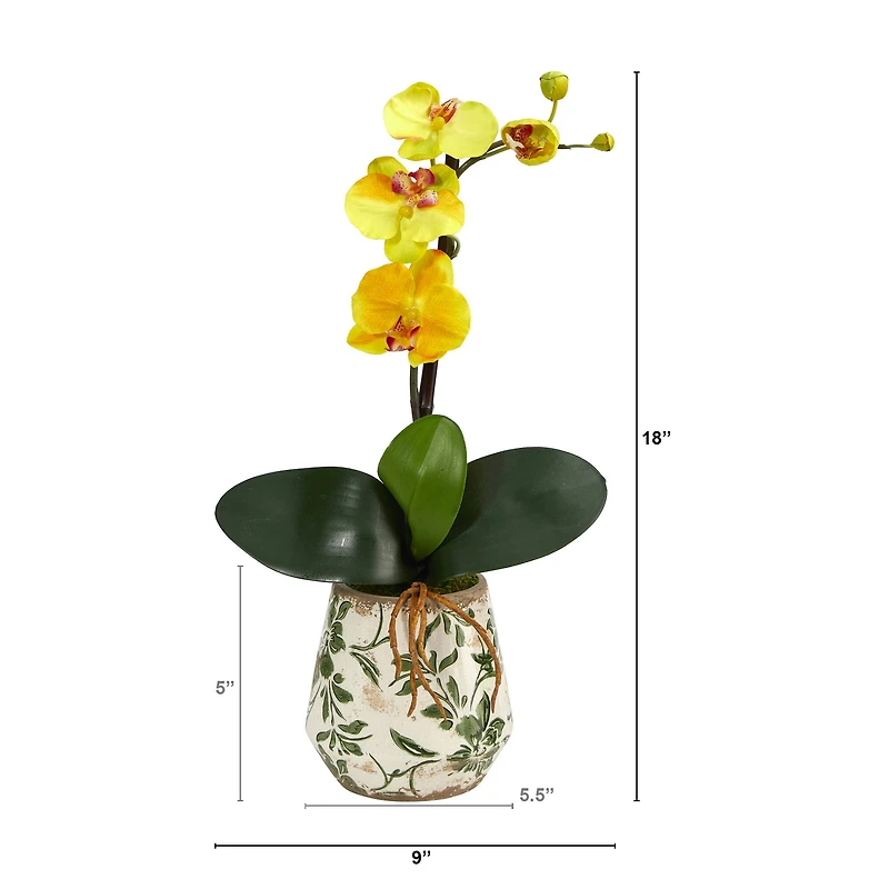 18" Mini Moth Orchid in Floral Vase