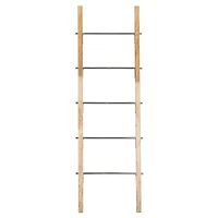59" Brown Stainless Steel Contemporary Ladder