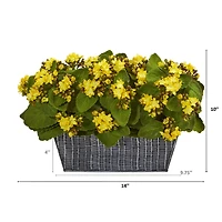 14" Yellow Kalanchoe Plant in Black Embossed Planter