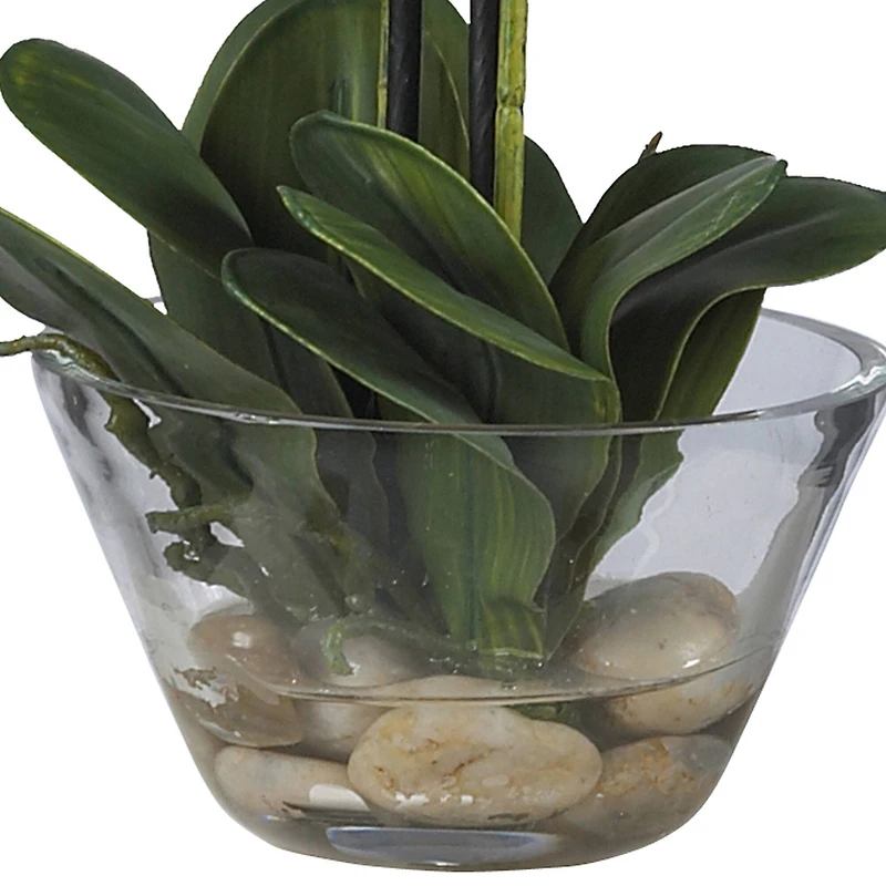 18" White Orchid Arrangement in Glass Vase