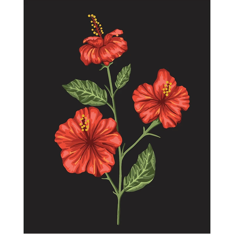 8" x 10" Hibiscus Paint-by-Number Kit with Wood Display Hanger by Artist's Loft®