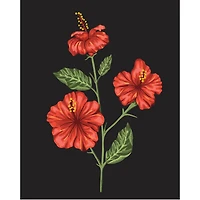 8" x 10" Hibiscus Paint-by-Number Kit with Wood Display Hanger by Artist's Loft®