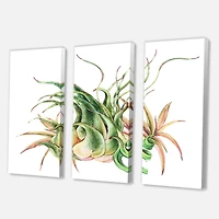 Designart - Tropical Leaves Air Plant Succulent