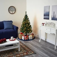 4ft. Pre-Lit Northern Tip Pine Artificial Christmas Tree, Clear LED Lights