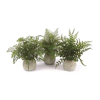 14" Potted Fern Plant in Gray Pot Set