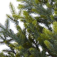 5ft. Pre-Lit Fraser Fir Natural Look Artificial Christmas Tree with Clear LED Lights