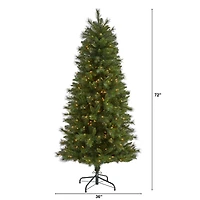 6ft. Pre-Lit West Virginia Mountain Pine Artificial Christmas Tree, Clear LED Lights