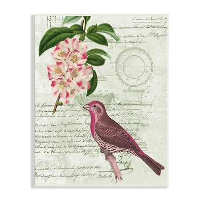 Stupell Industries Antique Bird House Patent Vintage Tree Florals Rosy-Finch Wall Plaque