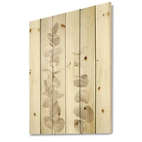 Designart - Beige Eucalyptus Branches On White