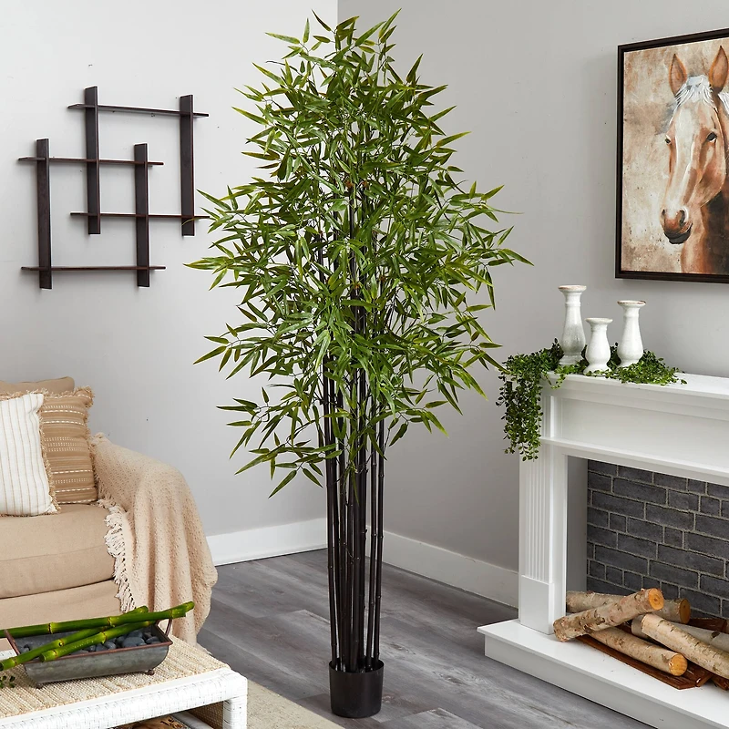 6ft. Potted Black Bamboo Tree