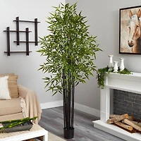 6ft. Potted Black Bamboo Tree