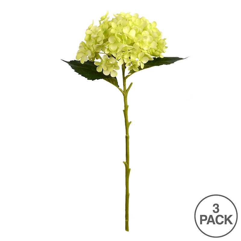 3 Pack: Green Hydrangea Stem