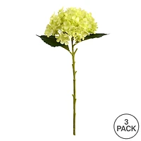 3 Pack: Green Hydrangea Stem