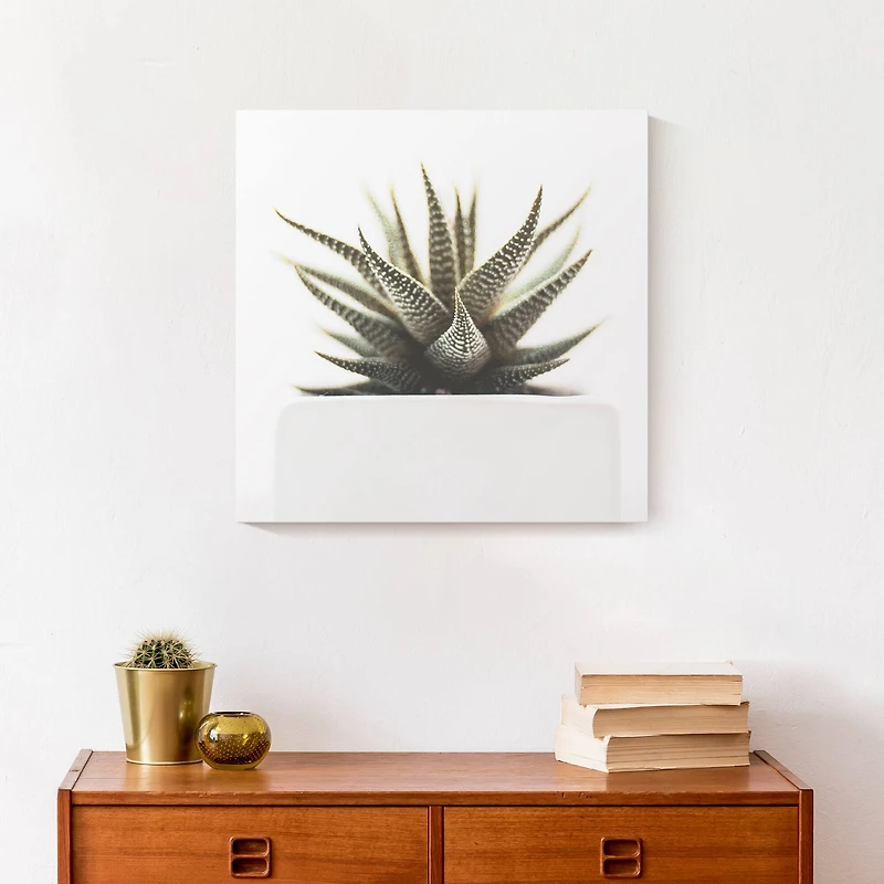 Designs Direct Aloe Plant Canvas Wall Art