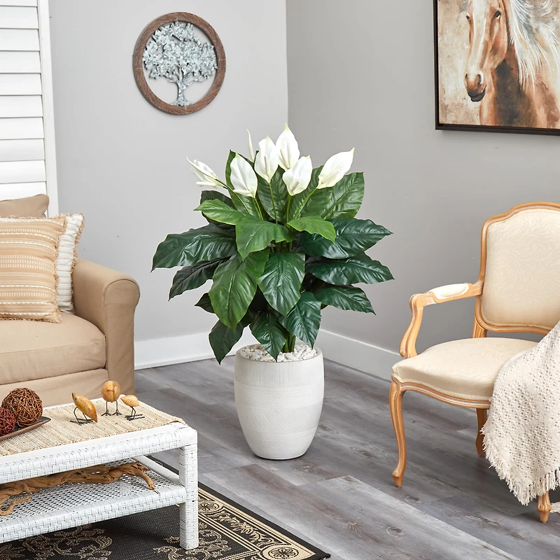 4ft. Peace Lily Plant in White Designer Planter