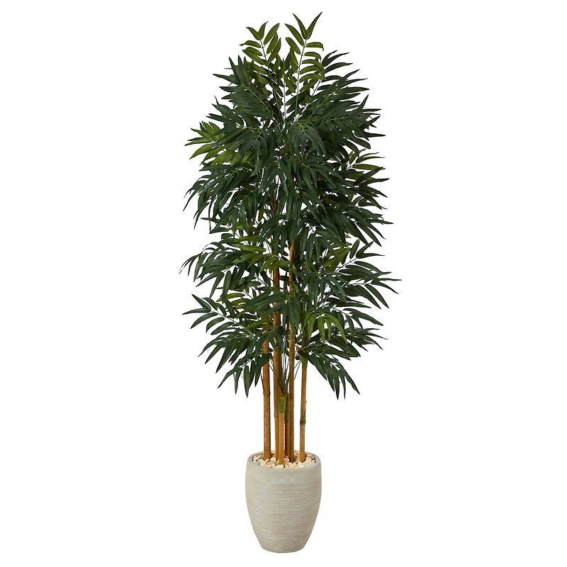 6ft. Phoenix Palm Tree in White Planter with Stand