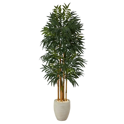 6ft. Phoenix Palm Tree in White Planter with Stand