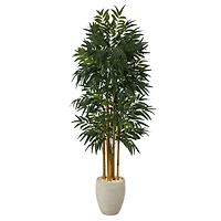 6ft. Phoenix Palm Tree in White Planter with Stand