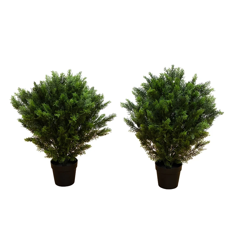 3ft. Potted UV Resistant Cedar Trees, 2ct.
