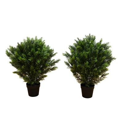 3ft. Potted UV Resistant Cedar Trees, 2ct.