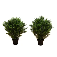 3ft. Potted UV Resistant Cedar Trees, 2ct.