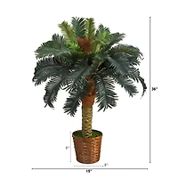 3ft. Sago Palm Tree in Woven Planter
