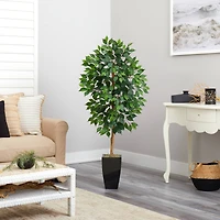 4.5ft. Ficus Tree in Black Metal Planter