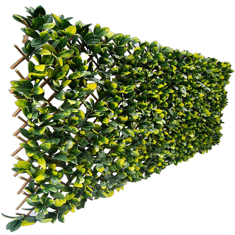 51" Expandable Lemon Leaf Lattice Screen