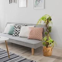 3.4ft. Potted Succulent Plant 