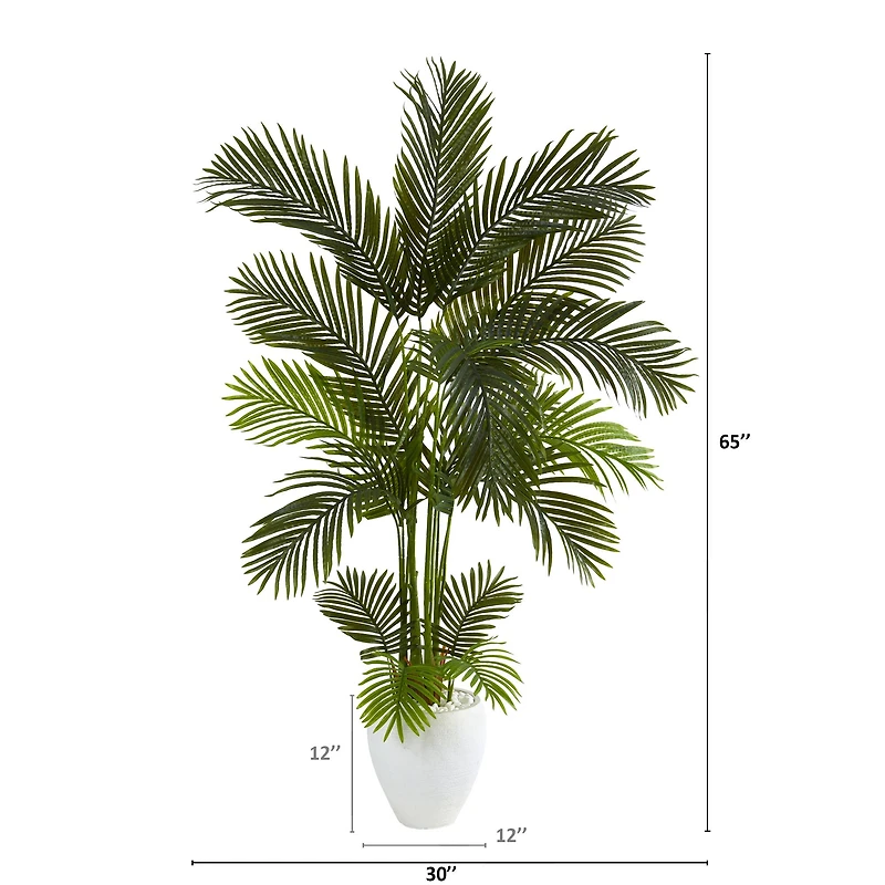 5.5ft. Areca Palm Tree in White Planter