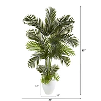 5.5ft. Areca Palm Tree in White Planter