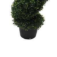 6ft. Potted Boxwood Spiral Tree