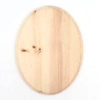 ArtSkills 9" x 12" Assorted Shapes Unfinished Wood Plaque Set