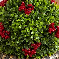 3ft. Pre-Lit Artificial Christmas Ornament Boxwood Topiary Tree with 70 Warm White LED Lights