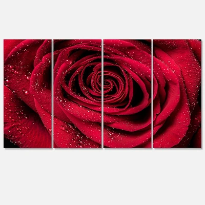 Designart - Red Rose Petals with Rain Droplets