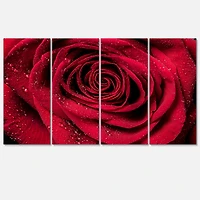Designart - Red Rose Petals with Rain Droplets