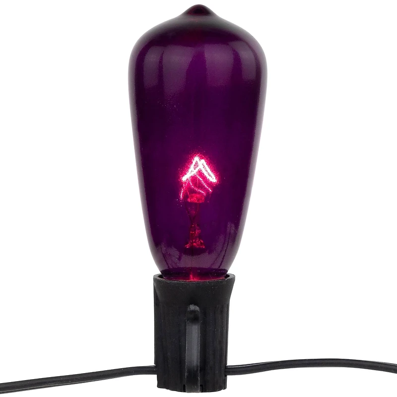 10ct. Purple & Orange Edison E17 Halloween Light Set