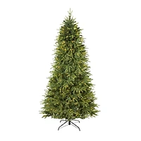 7ft. Pre-Lit Vancouver Fir Natural Look Artificial Christmas Tree with Clear LED Lights