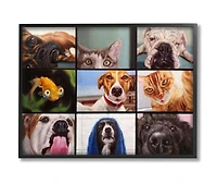Stupell Industries Office Pet Humor Animal Video Chat Meeting Framed Wall Art