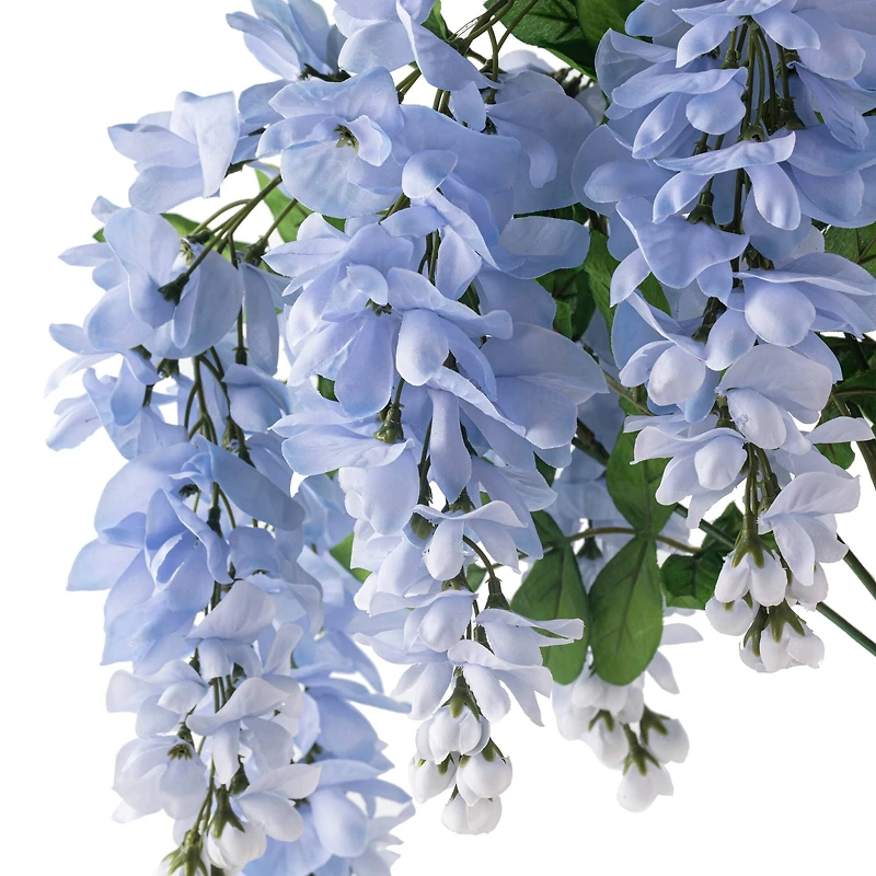 Blue Wisteria Bush by Ashland®