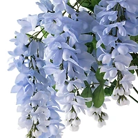 Blue Wisteria Bush by Ashland®
