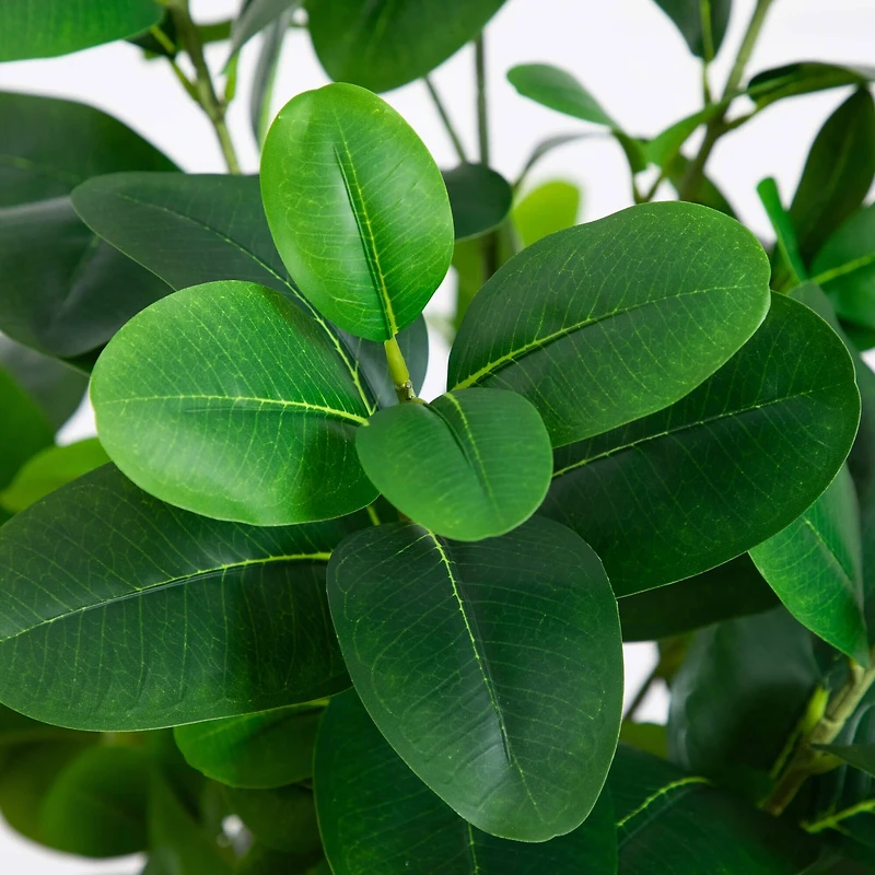 6ft. Artificial Audrey Ficus Tree