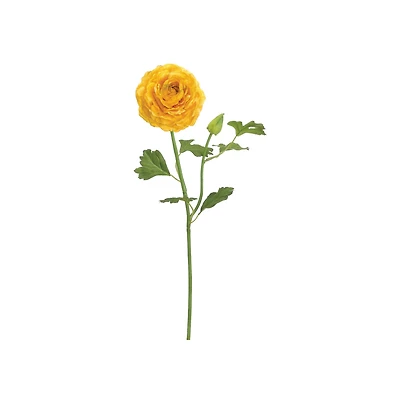 Yellow Ranunculus Spray
