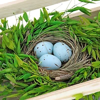 17" Triple Nest with Eggs Centerpiece