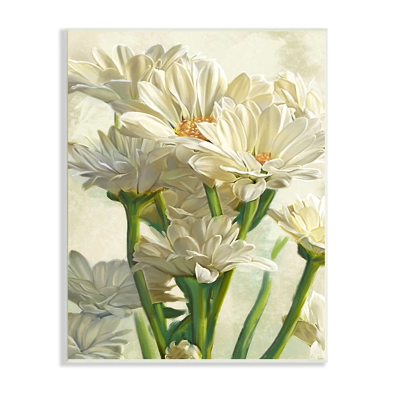 Stupell Industries Study of White Daisy Petals Wall Plaque
